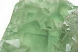 Green Cubic Fluorite Crystals with Phantoms - China #216341-3